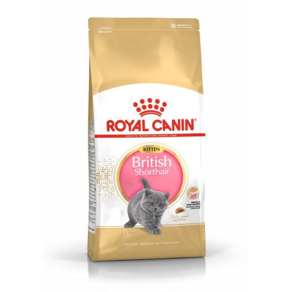 [Royal Canin] British Shorthair | Kitten Cat Food