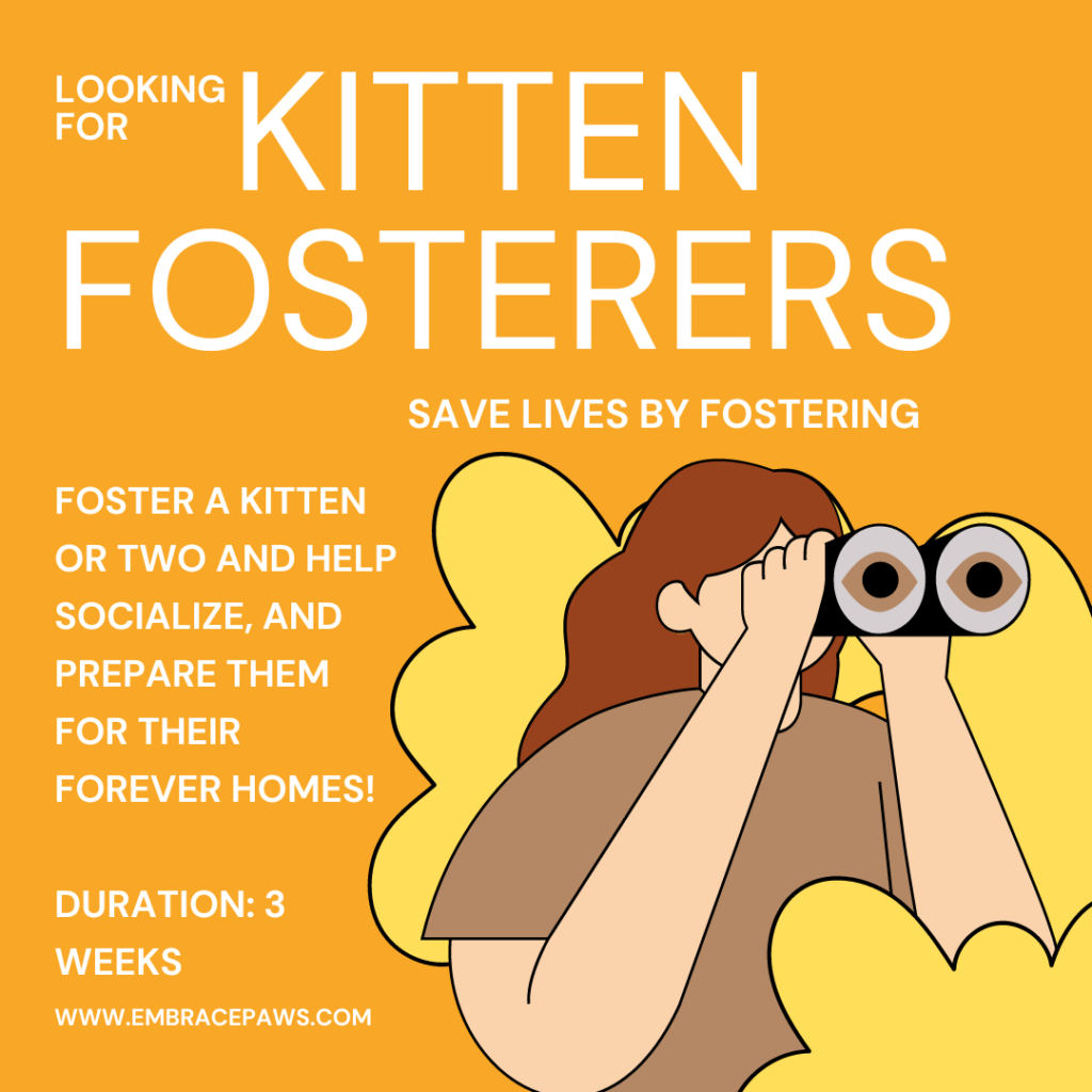 Why Fostering Pets Is Really Important